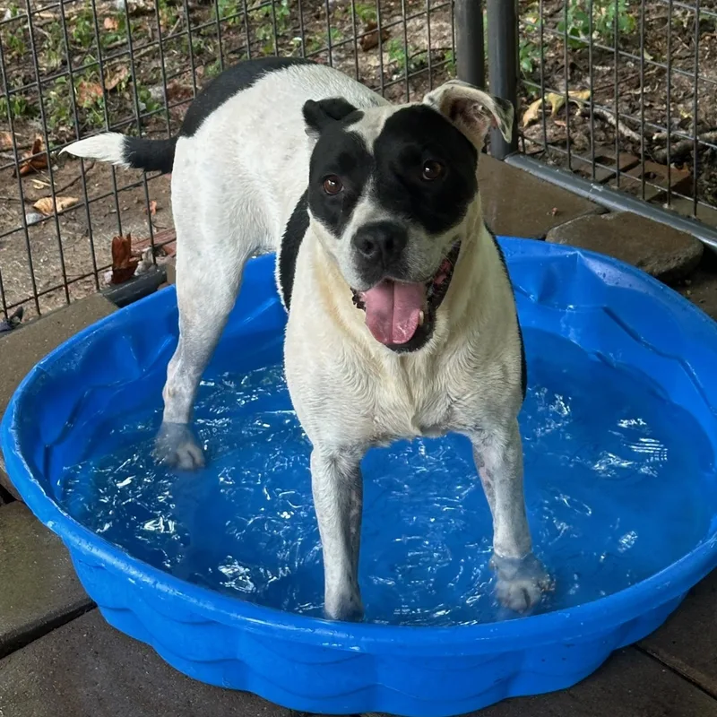 Little Finger thumbnail 2