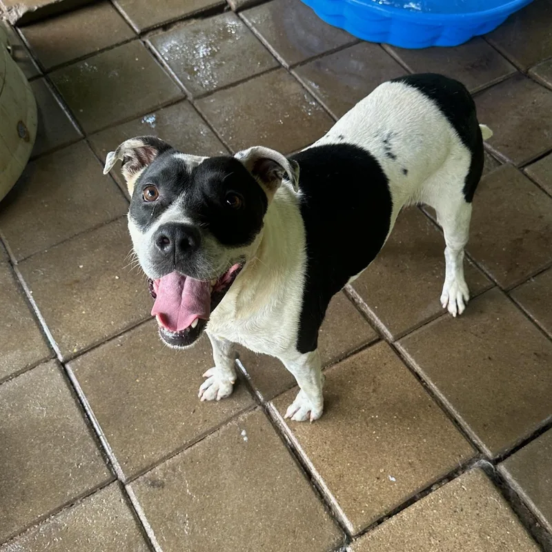 Little Finger thumbnail 3