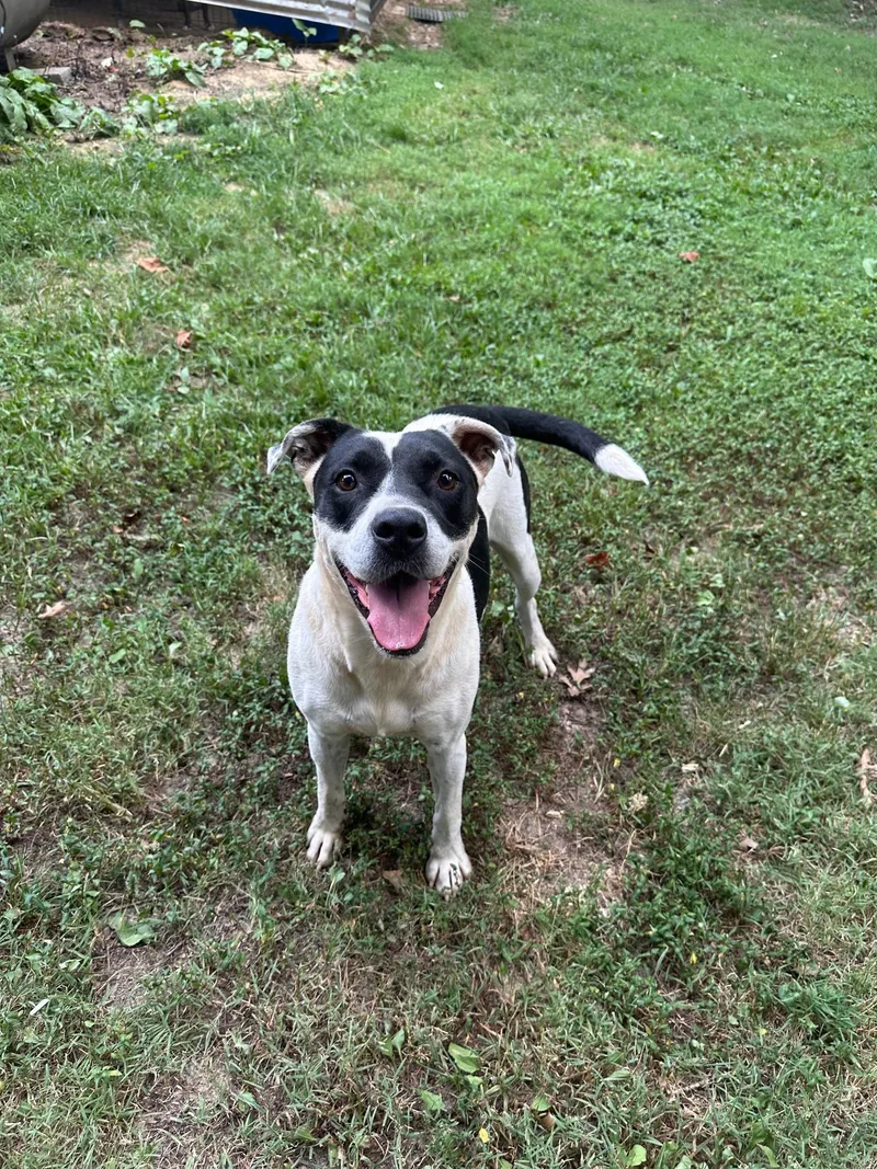 Little Finger thumbnail 4