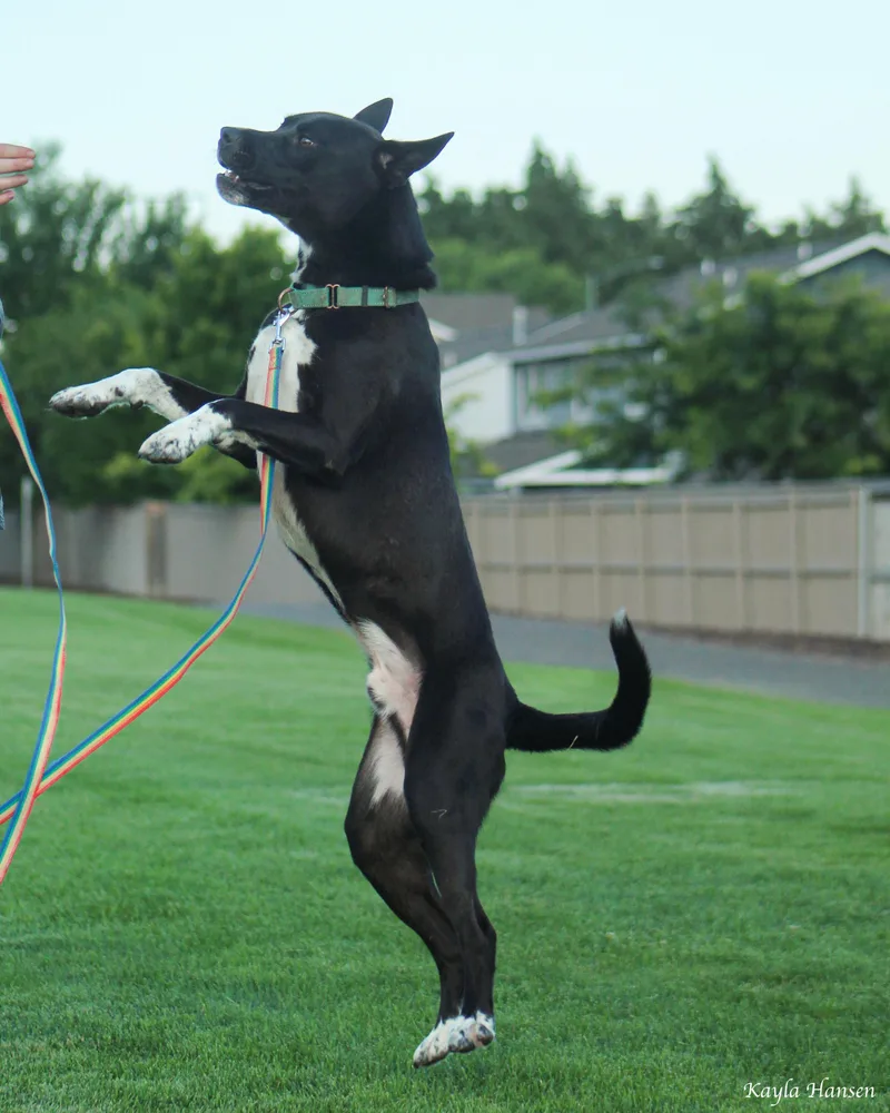 Tony Stark thumbnail 2