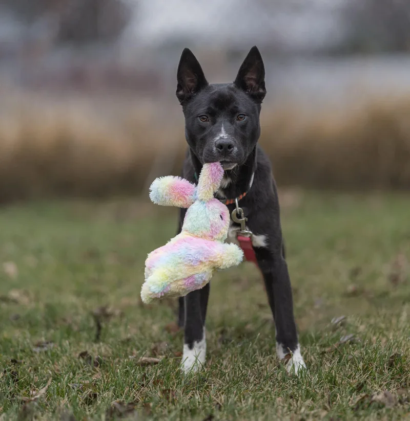 Tony Stark thumbnail 5