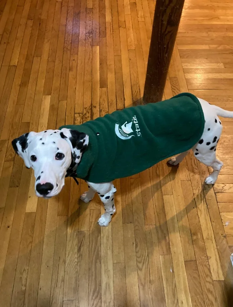 Sliderboston  Ma thumbnail 4