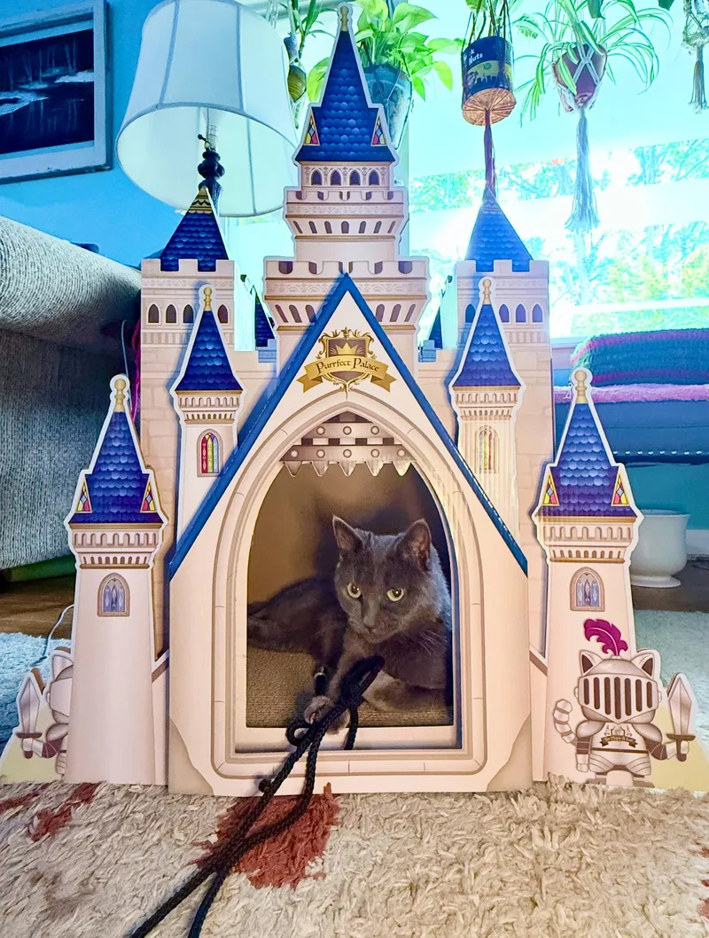 Moira Rose thumbnail 5