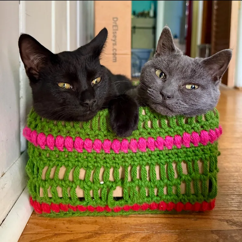 Moira Rose thumbnail 6