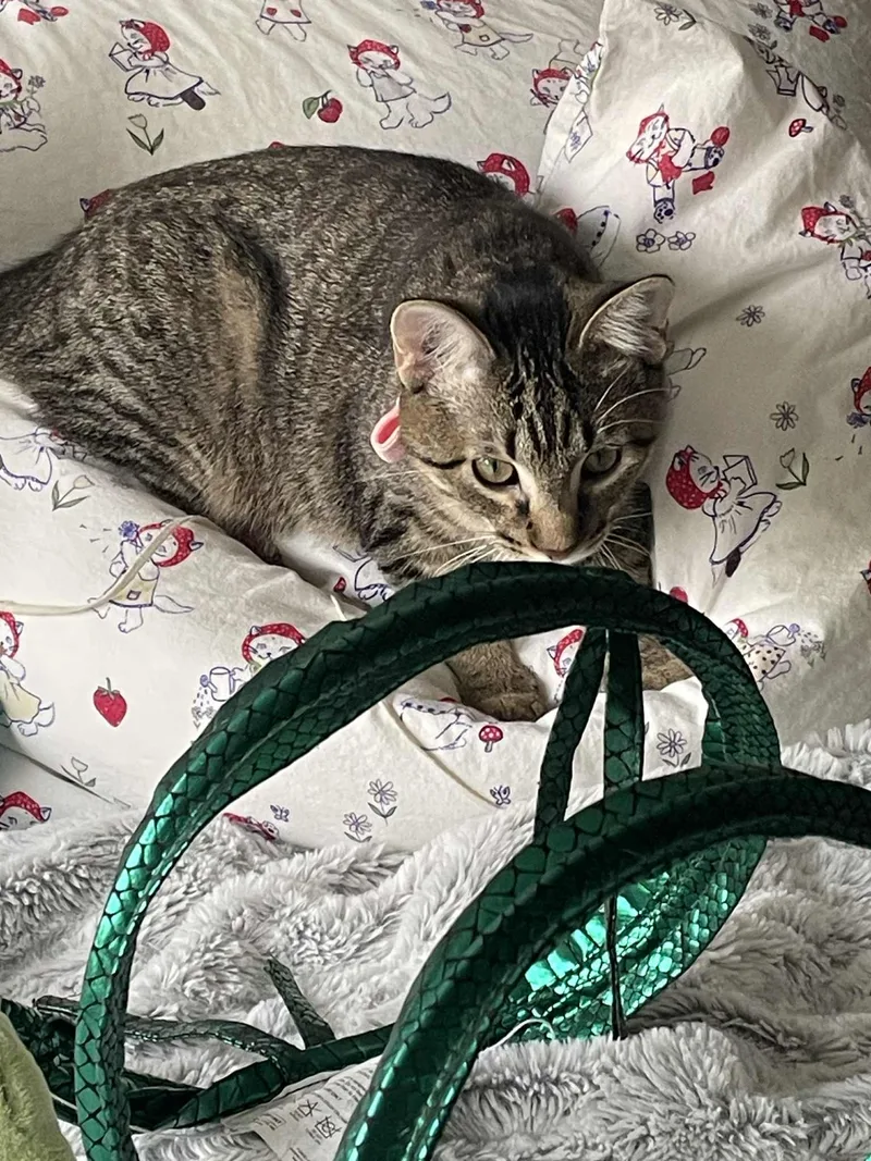 Luna Lovegood thumbnail 2