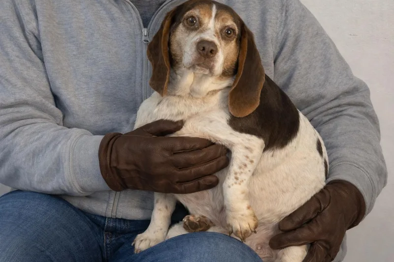 Pattycake thumbnail 6