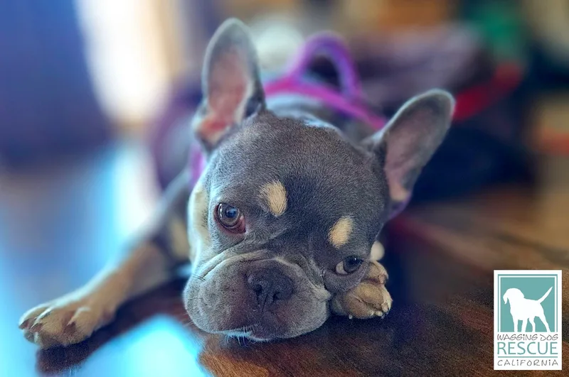 Squashy Nice thumbnail 3