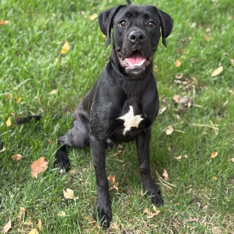 Otis  Fka Taylor thumbnail 2