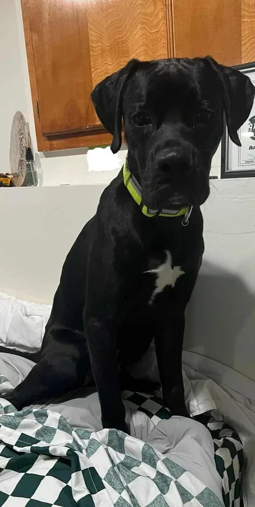 Otis  Fka Taylor thumbnail 3