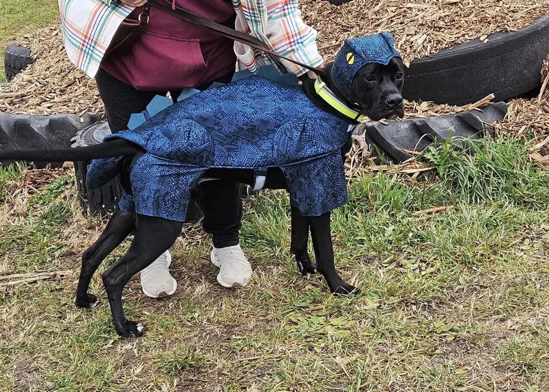 Otis  Fka Taylor thumbnail 4