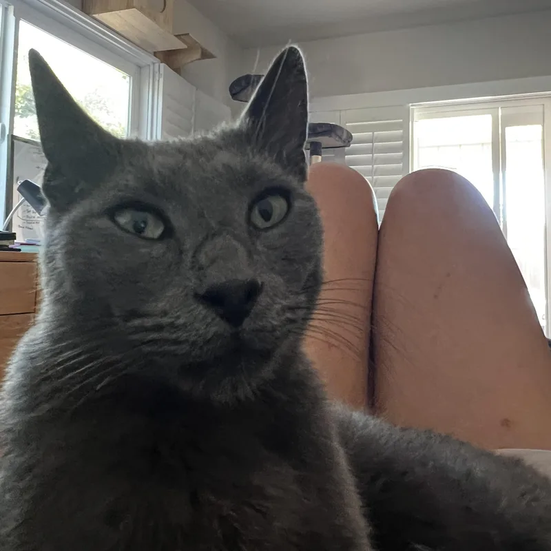 Greyford thumbnail 2