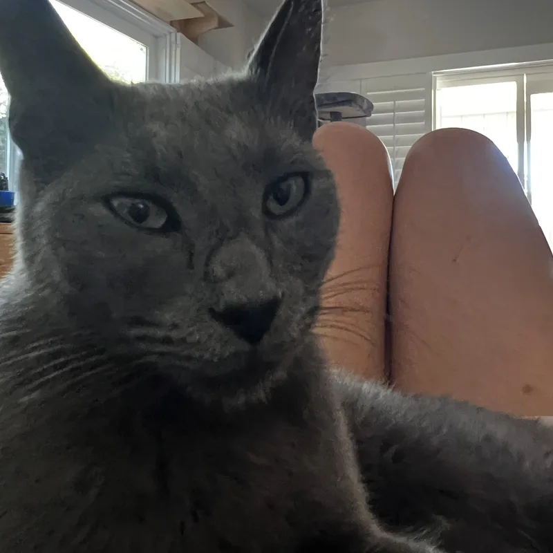 Greyford thumbnail 3