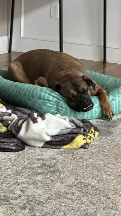 Bathsheba thumbnail 2