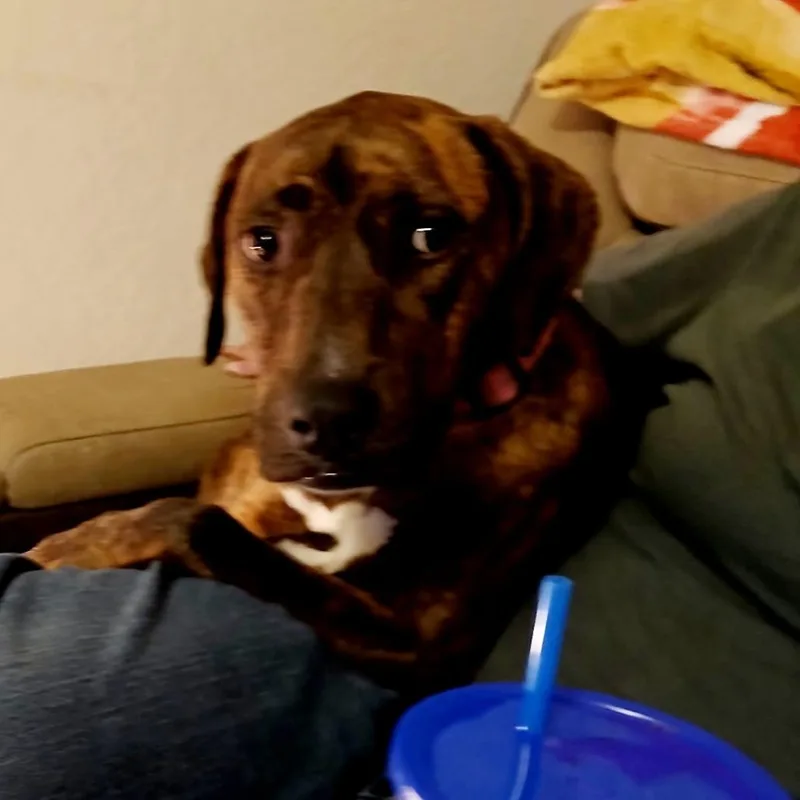 Annabelle Aka Anika thumbnail 2