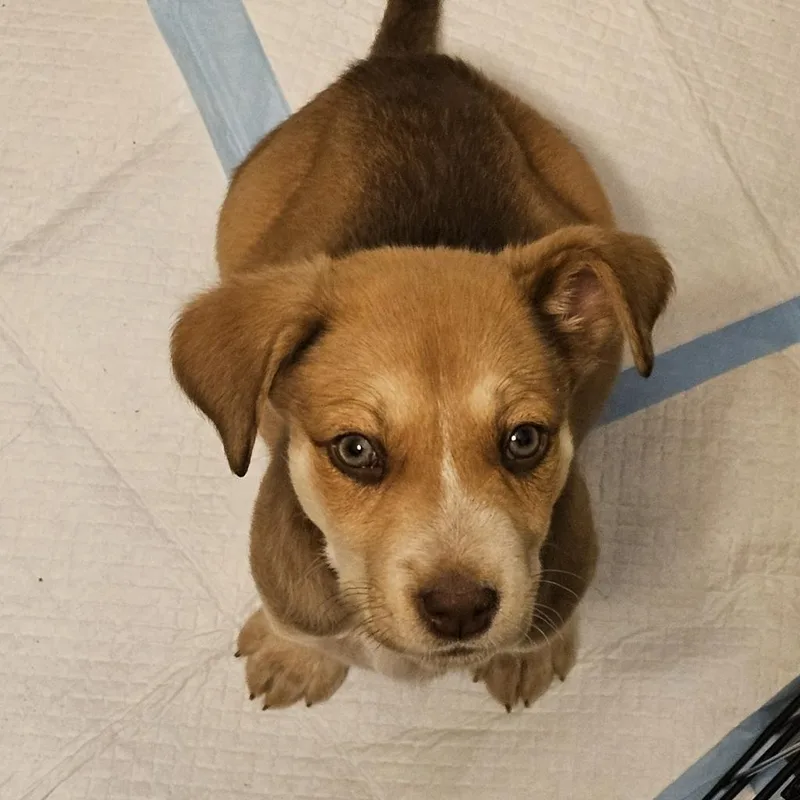 Aphrodite thumbnail 2