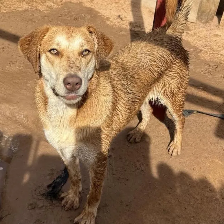 Aphrodite thumbnail 3