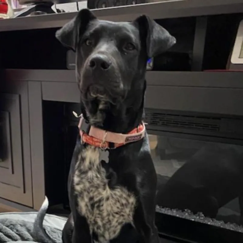 Autumn Aka Misty thumbnail 3