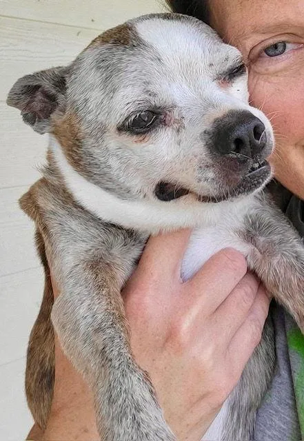 Babygirl thumbnail 2