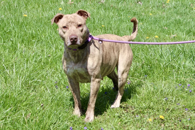 Annabeth thumbnail 3