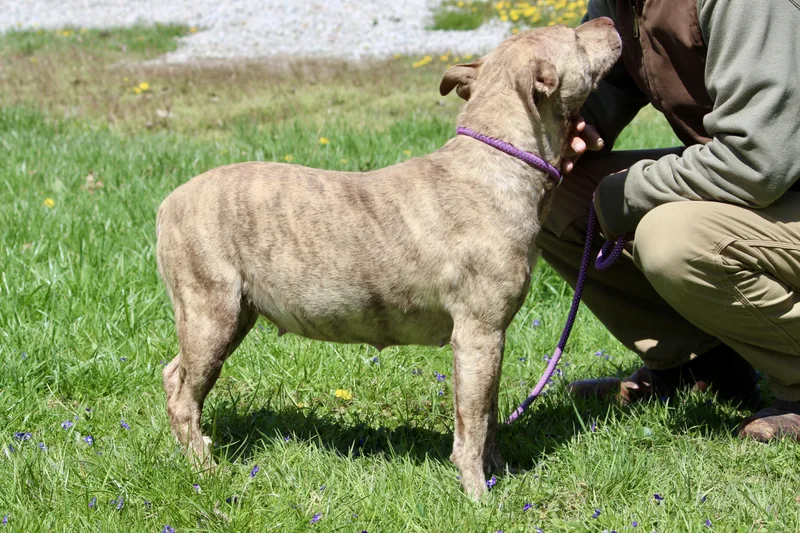 Annabeth thumbnail 4