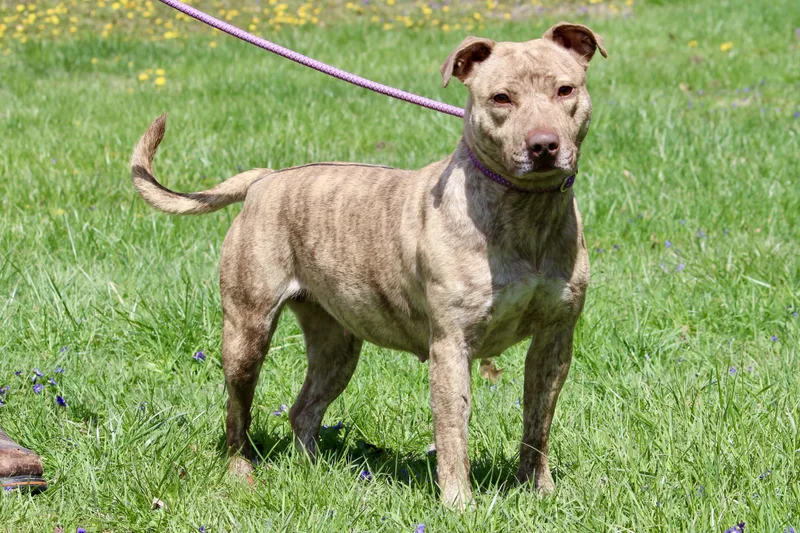 Annabeth thumbnail 5