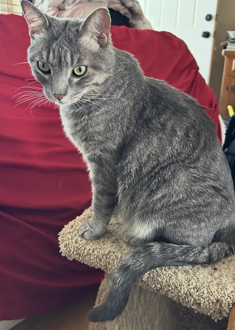 Beastie Boy thumbnail 4