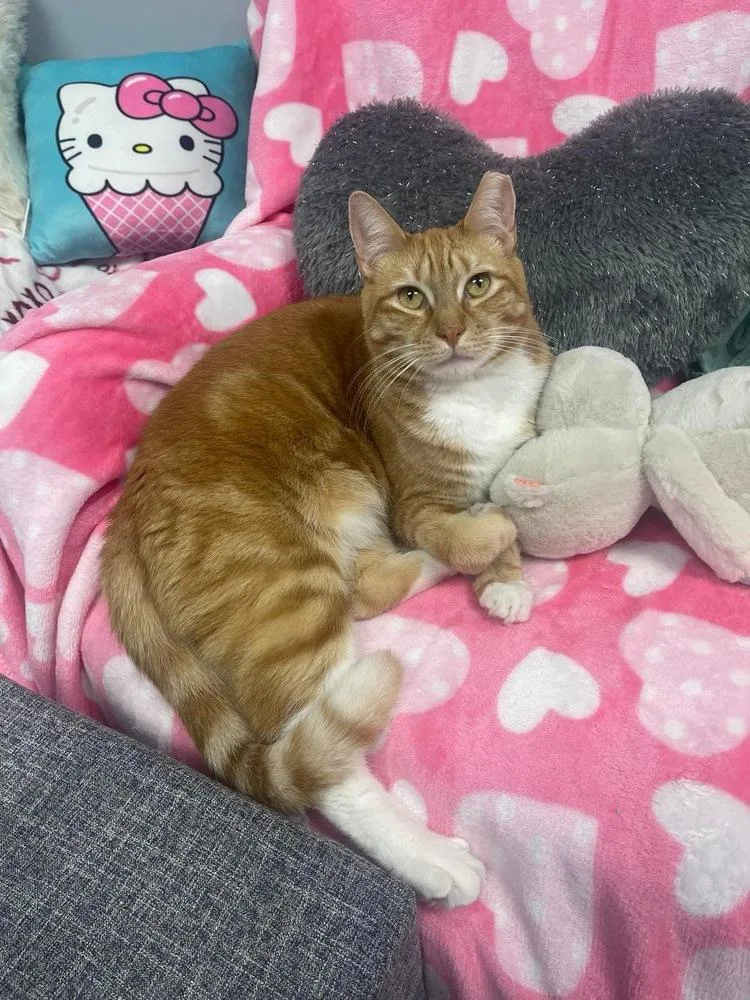 Beeker Tcc thumbnail 5