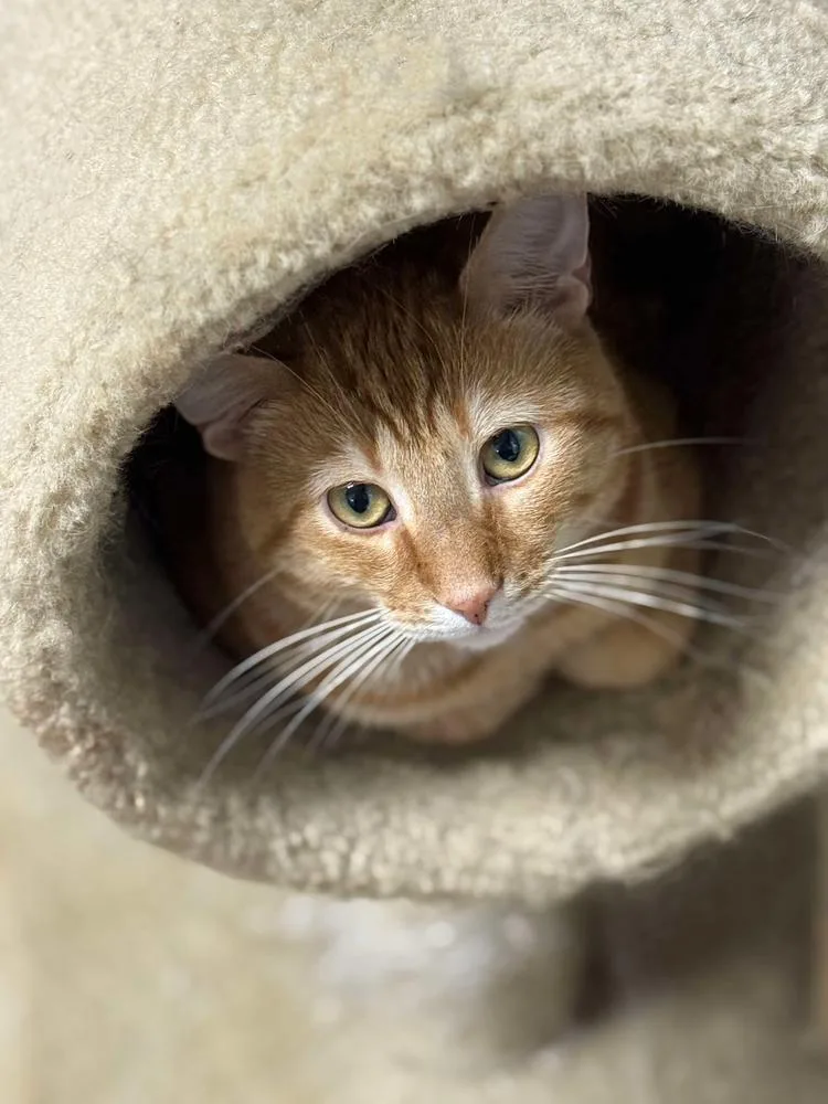 Benjamin Avery thumbnail 2