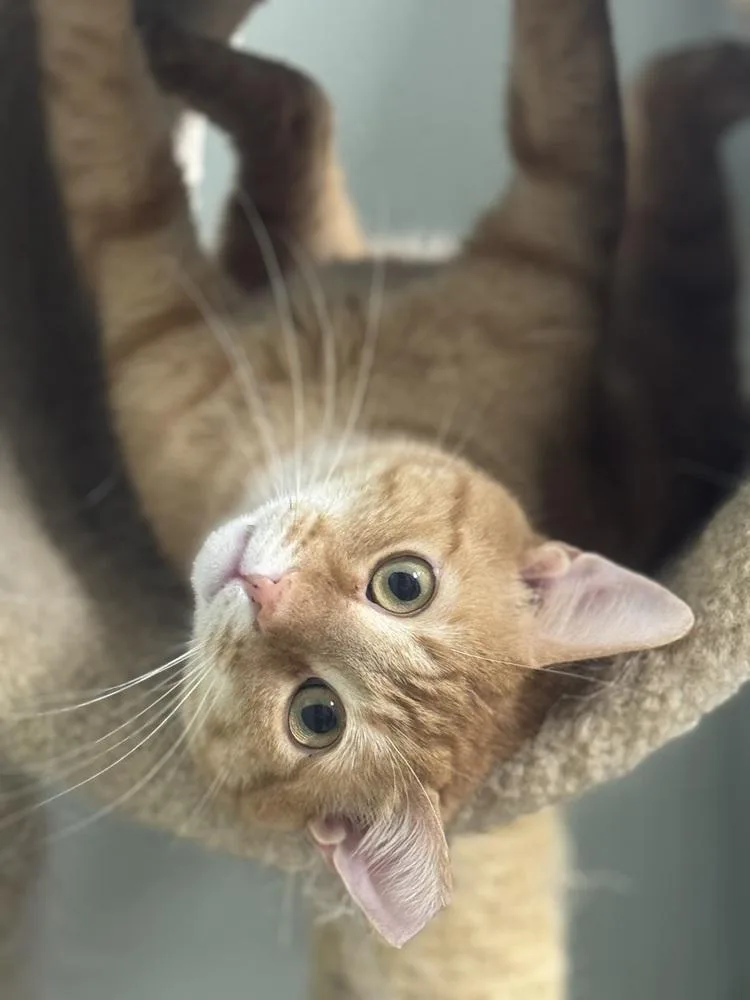 Benjamin Avery thumbnail 3