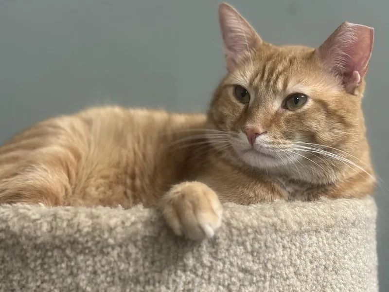 Benjamin Avery thumbnail 5