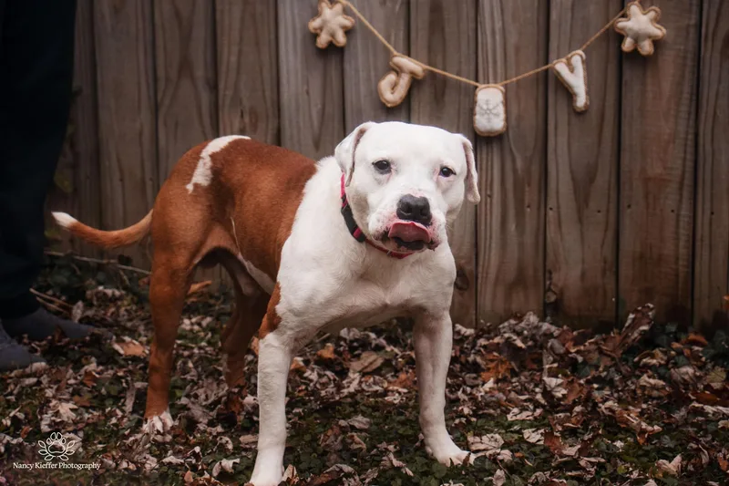 Benny thumbnail 2