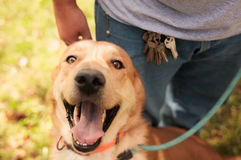 Chug  Transport thumbnail 2