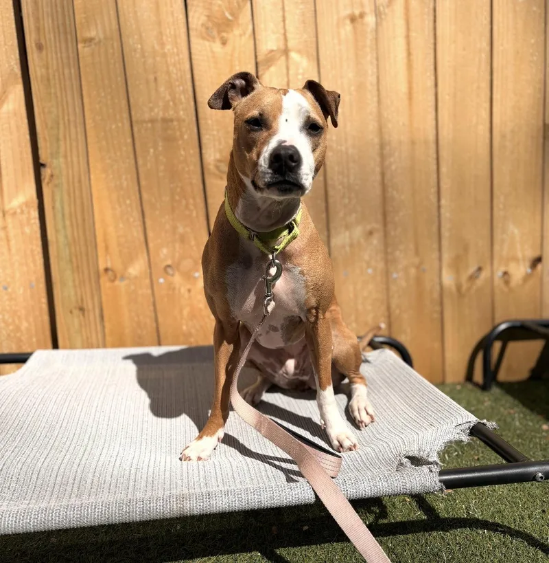 Ellie