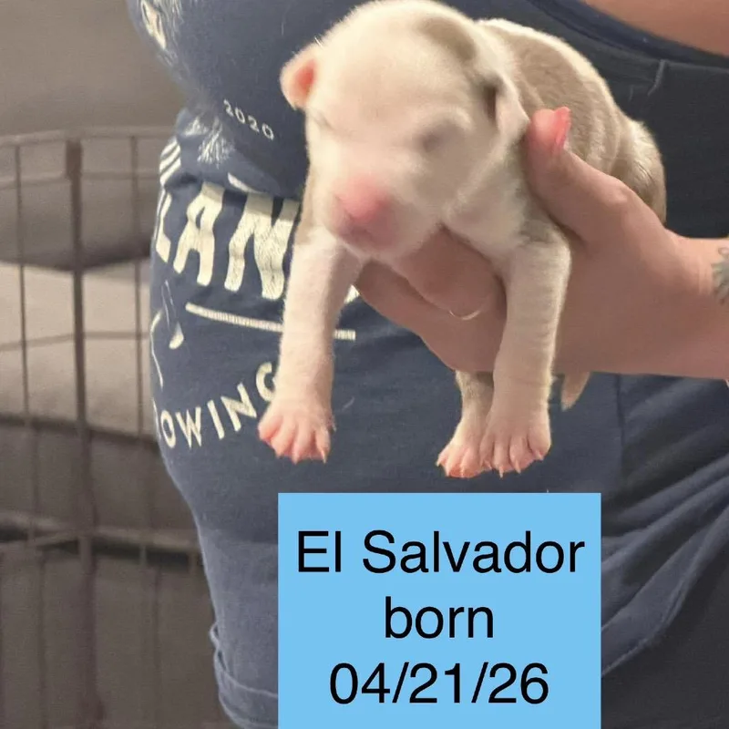 El Salvador thumbnail 2