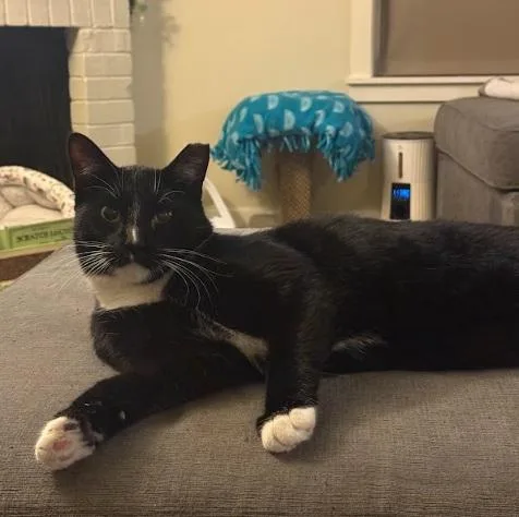 Lover Boy Milo thumbnail 2