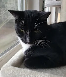 Lover Boy Milo thumbnail 5