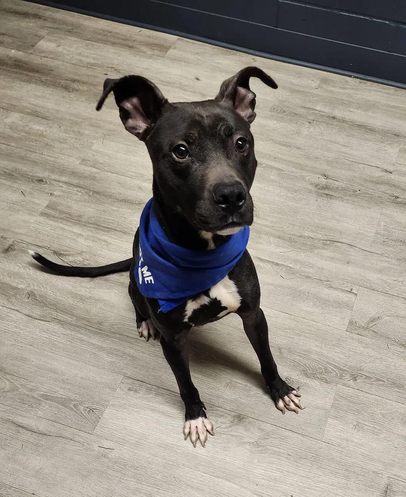 Billy Bones Thorton Prison thumbnail 2