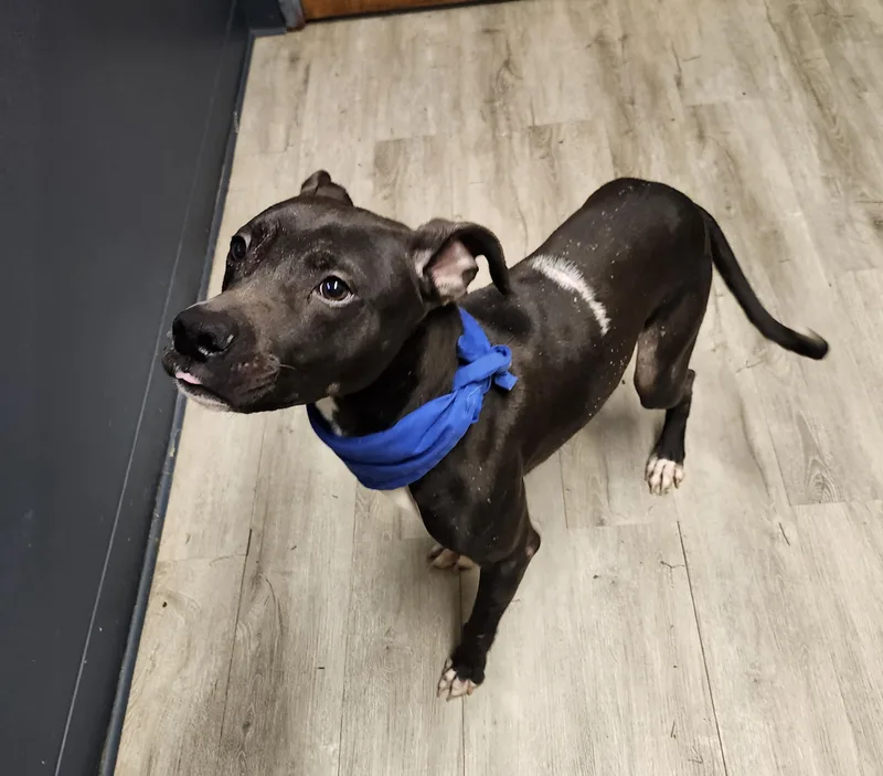 Billy Bones Thorton Prison thumbnail 3