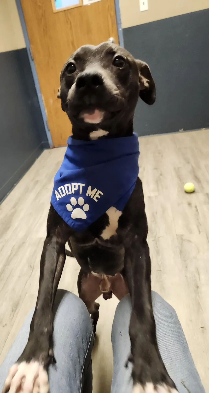 Billy Bones Thorton Prison thumbnail 4