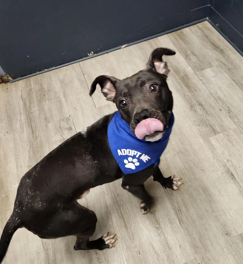 Billy Bones Thorton Prison thumbnail 5