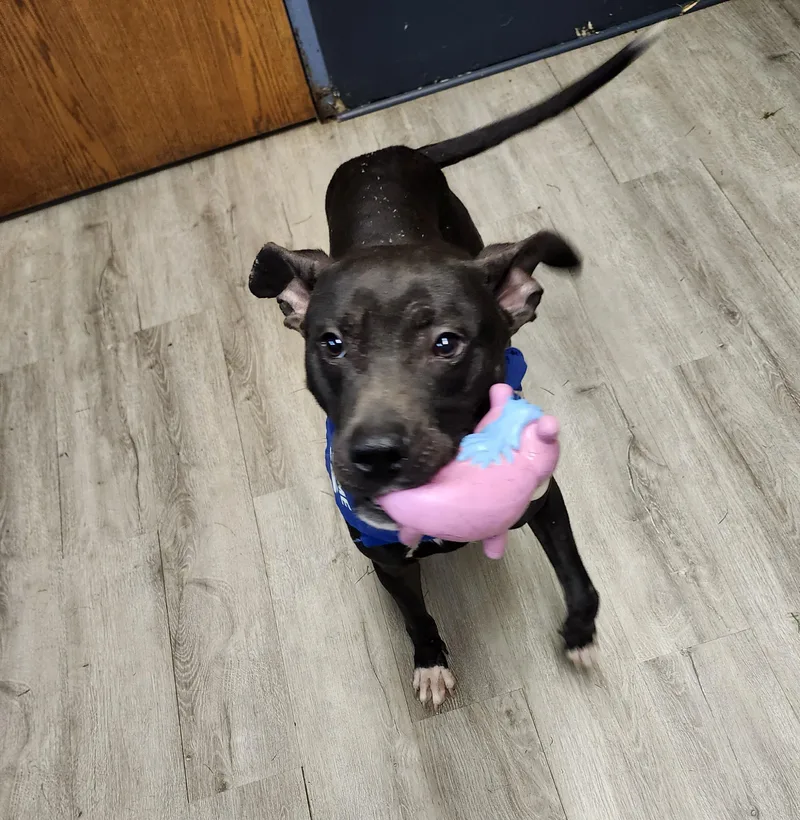 Billy Bones Thorton Prison