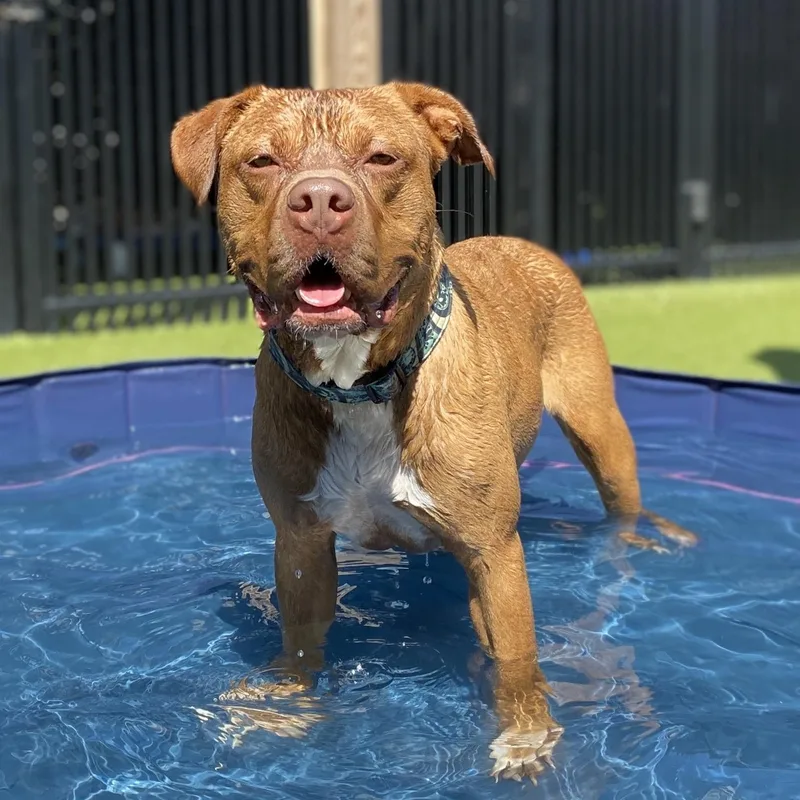 Cherokee thumbnail 2