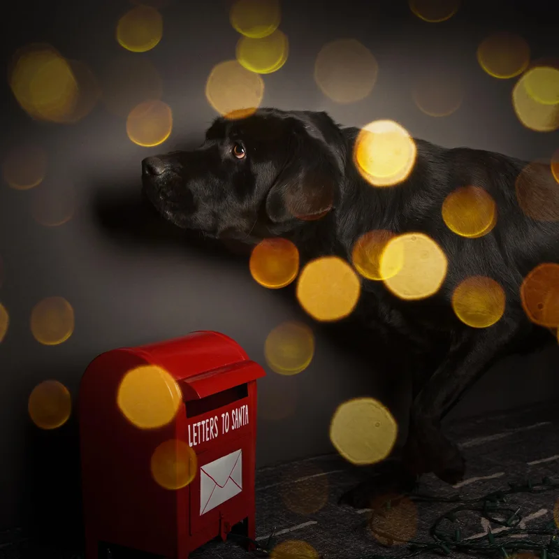 Bolt thumbnail 2