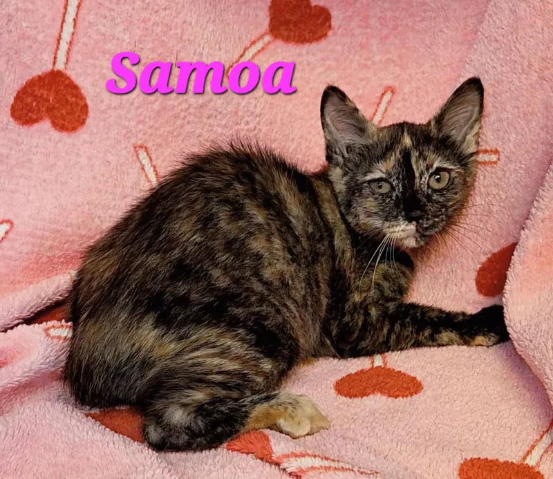 Samoa