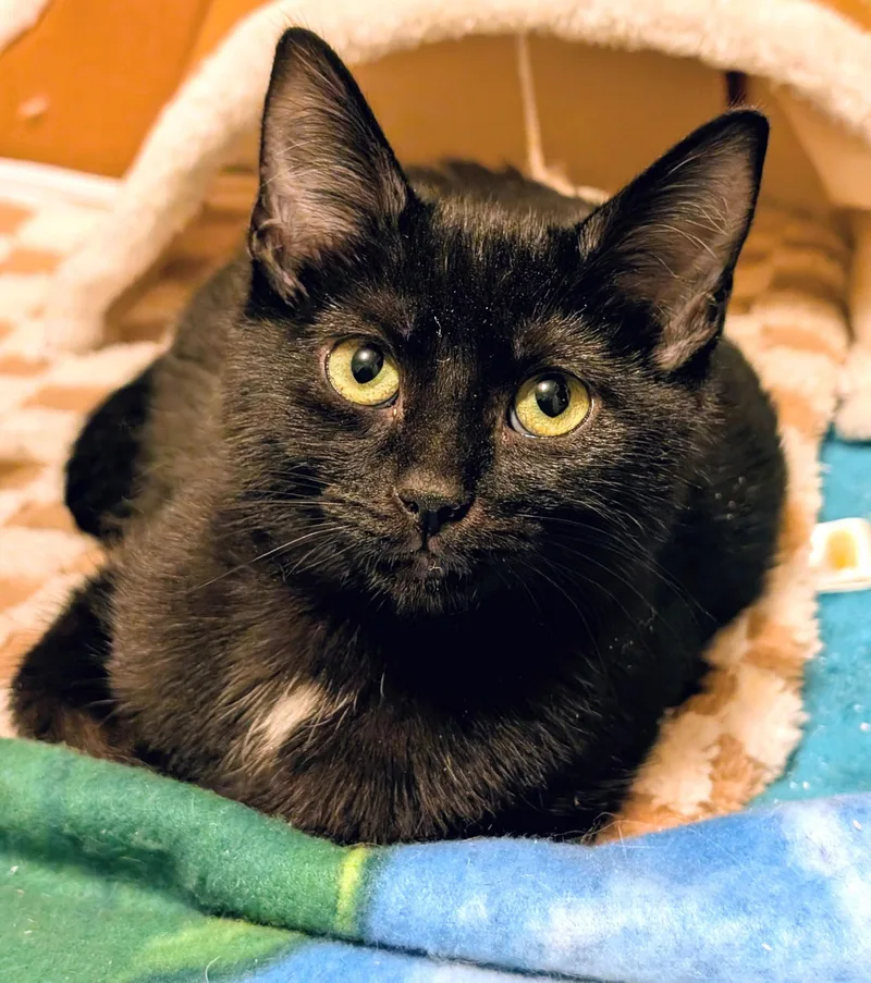 Baxter & Bucky: Fun thumbnail 5