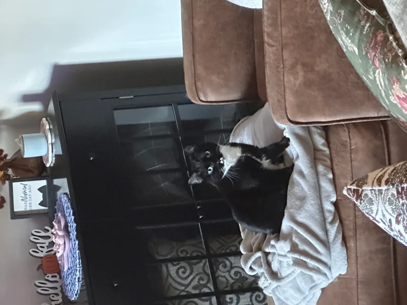Pepper thumbnail 2