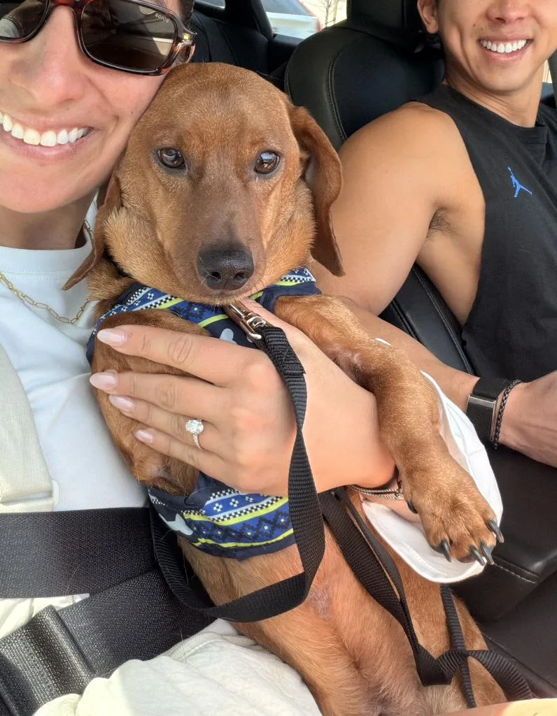 Caramelo thumbnail 5