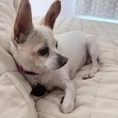 Blanca thumbnail 3