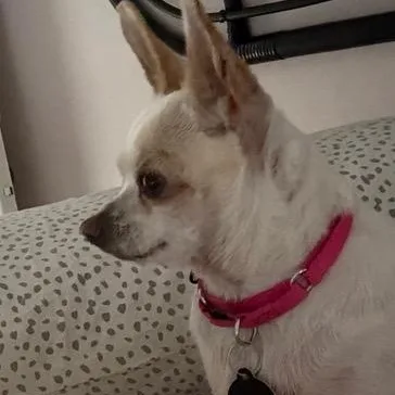 Blanca thumbnail 5