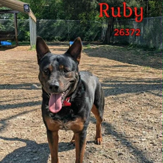 Ruby